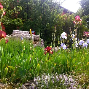Guest house Maison Rouge, Plan d'Aups
